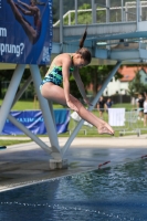 Thumbnail - 2023 - International Diving Meet Graz - Прыжки в воду 03060_06478.jpg