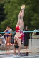 Thumbnail - 2023 - International Diving Meet Graz - Plongeon 03060_06773.jpg