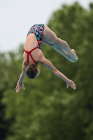 Thumbnail - 2023 - International Diving Meet Graz - Tuffi Sport 03060_06802.jpg