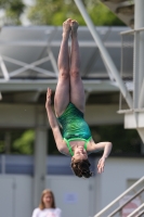 Thumbnail - 2023 - International Diving Meet Graz - Wasserspringen 03060_07149.jpg