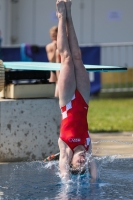 Thumbnail - 2023 - International Diving Meet Graz - Wasserspringen 03060_07220.jpg