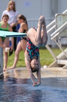 Thumbnail - 2023 - International Diving Meet Graz - Plongeon 03060_07249.jpg