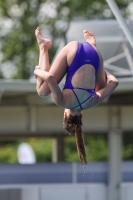 Thumbnail - 2023 - International Diving Meet Graz - Tuffi Sport 03060_07273.jpg