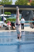 Thumbnail - 2023 - International Diving Meet Graz - Wasserspringen 03060_07874.jpg