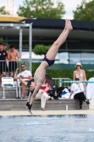 Thumbnail - 2023 - International Diving Meet Graz - Diving Sports 03060_08269.jpg