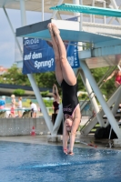 Thumbnail - 2023 - International Diving Meet Graz - Wasserspringen 03060_09303.jpg