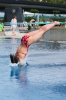 Thumbnail - 2023 - International Diving Meet Graz - Wasserspringen 03060_09863.jpg