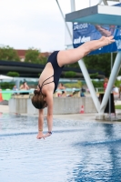 Thumbnail - 2023 - International Diving Meet Graz - Wasserspringen 03060_10102.jpg