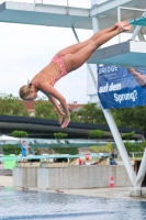 Thumbnail - 2023 - International Diving Meet Graz - Wasserspringen 03060_10132.jpg