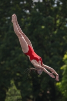 Thumbnail - 2023 - International Diving Meet Graz - Wasserspringen 03060_10616.jpg