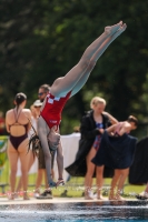 Thumbnail - 2023 - International Diving Meet Graz - Plongeon 03060_10859.jpg