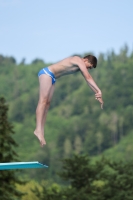 Thumbnail - 2023 - International Diving Meet Graz - Tuffi Sport 03060_13119.jpg