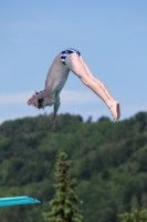 Thumbnail - 2023 - International Diving Meet Graz - Wasserspringen 03060_13571.jpg