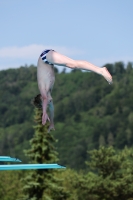 Thumbnail - 2023 - International Diving Meet Graz - Wasserspringen 03060_13572.jpg