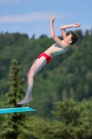 Thumbnail - 2023 - International Diving Meet Graz - Wasserspringen 03060_13825.jpg