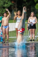 Thumbnail - 2023 - International Diving Meet Graz - Tuffi Sport 03060_14193.jpg