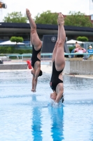 Thumbnail - Girls - Wasserspringen - 2023 - International Diving Meet Graz - Synchron 03060_15804.jpg