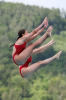Thumbnail - Girls - Wasserspringen - 2023 - International Diving Meet Graz - Synchron 03060_16613.jpg