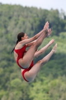 Thumbnail - Girls - Wasserspringen - 2023 - International Diving Meet Graz - Synchron 03060_16614.jpg