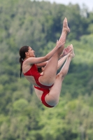 Thumbnail - Girls - Wasserspringen - 2023 - International Diving Meet Graz - Synchron 03060_16615.jpg