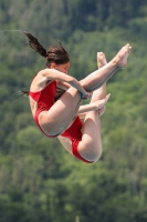 Thumbnail - Girls - Wasserspringen - 2023 - International Diving Meet Graz - Synchron 03060_16679.jpg