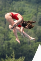 Thumbnail - Girls - Wasserspringen - 2023 - International Diving Meet Graz - Synchron 03060_16681.jpg