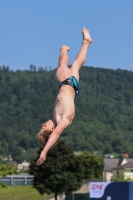 Thumbnail - Boys C - Ole - Wasserspringen - 2023 - International Diving Meet Graz - Teilnehmer - Deutschland 03060_34595.jpg