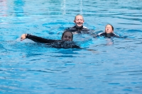 Thumbnail - Allgemeine Fotos - Wasserspringen - 2023 - International Diving Meet Graz 03060_36522.jpg