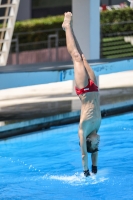 Thumbnail - Boys C - Прыжки в воду - 2023 - Roma Junior Diving Cup - Participants 03064_00330.jpg