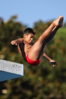 Thumbnail - Lorenzo - Wasserspringen - 2023 - Roma Junior Diving Cup - Teilnehmer - Boys C 03064_01772.jpg