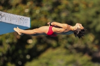 Thumbnail - Tommaso - Wasserspringen - 2023 - Roma Junior Diving Cup - Teilnehmer - Boys C 03064_01849.jpg