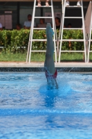 Thumbnail - Tommaso - Прыжки в воду - 2023 - Roma Junior Diving Cup - Participants - Boys C 03064_03048.jpg