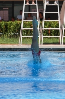 Thumbnail - Tommaso - Tuffi Sport - 2023 - Roma Junior Diving Cup - Participants - Boys C 03064_03048.jpg