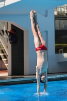 Thumbnail - Giorgi - Wasserspringen - 2023 - Roma Junior Diving Cup - Teilnehmer - Boys B 03064_03208.jpg