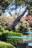 Thumbnail - Matthew Hibbert - Plongeon - 2023 - Roma Junior Diving Cup - Participants - Boys A 03064_04554.jpg