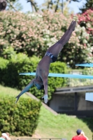 Thumbnail - Matthew Hibbert - Plongeon - 2023 - Roma Junior Diving Cup - Participants - Boys A 03064_04555.jpg