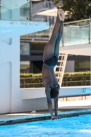 Thumbnail - Matthew Hibbert - Diving Sports - 2023 - Roma Junior Diving Cup - Participants - Boys A 03064_05134.jpg