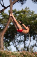 Thumbnail - Marco - Wasserspringen - 2023 - Roma Junior Diving Cup - Teilnehmer - Boys C 03064_08708.jpg