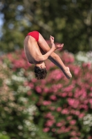 Thumbnail - Gabriel - Прыжки в воду - 2023 - Roma Junior Diving Cup - Participants - Boys C 03064_08933.jpg