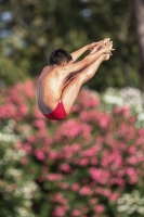 Thumbnail - Lorenzo - Wasserspringen - 2023 - Roma Junior Diving Cup - Teilnehmer - Boys C 03064_09001.jpg