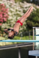 Thumbnail - Marco - Прыжки в воду - 2023 - Roma Junior Diving Cup - Participants - Boys C 03064_09006.jpg