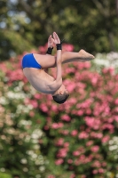 Thumbnail - Flavio - Wasserspringen - 2023 - Roma Junior Diving Cup - Teilnehmer - Boys C 03064_09138.jpg