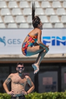 Thumbnail - Girls B - Wasserspringen - 2023 - Roma Junior Diving Cup - Teilnehmer 03064_10830.jpg