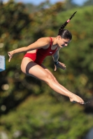 Thumbnail - Greta Signorello - Plongeon - 2023 - Roma Junior Diving Cup - Participants - Girls A 03064_11049.jpg