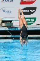 Thumbnail - Diana Caterina Romano - Wasserspringen - 2023 - Roma Junior Diving Cup - Teilnehmer - Girls B 03064_11225.jpg