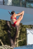 Thumbnail - Greta Signorello - Diving Sports - 2023 - Roma Junior Diving Cup - Participants - Girls A 03064_12830.jpg