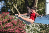 Thumbnail - Greta Signorello - Diving Sports - 2023 - Roma Junior Diving Cup - Participants - Girls A 03064_12981.jpg