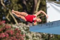 Thumbnail - Greta Signorello - Wasserspringen - 2023 - Roma Junior Diving Cup - Teilnehmer - Girls A 03064_13083.jpg