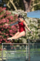 Thumbnail - Greta Signorello - Wasserspringen - 2023 - Roma Junior Diving Cup - Teilnehmer - Girls A 03064_13084.jpg