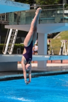 Thumbnail - Lita van Weert - Прыжки в воду - 2023 - Roma Junior Diving Cup - Participants - Girls B 03064_13502.jpg